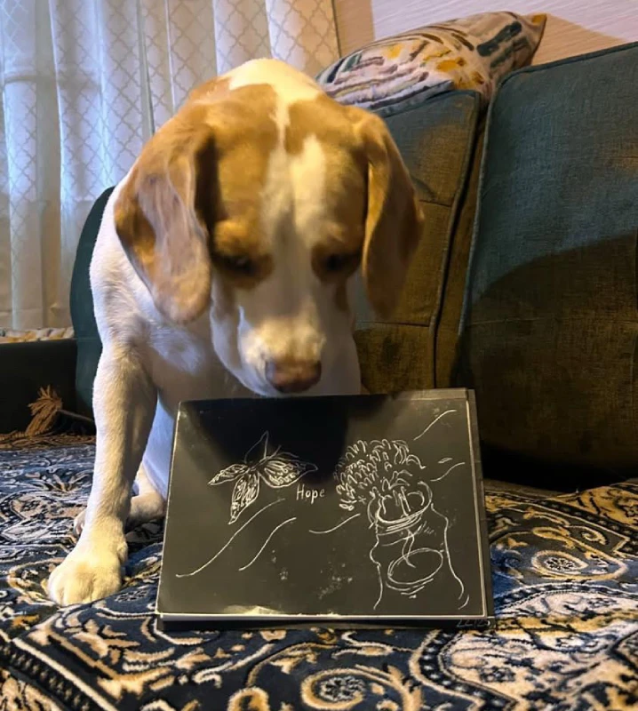 rue's calendar review